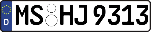 MS-HJ9313
