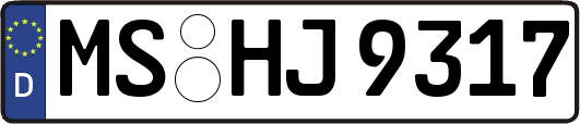 MS-HJ9317