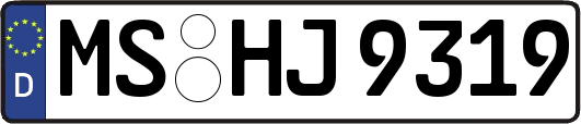 MS-HJ9319