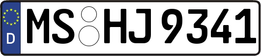 MS-HJ9341