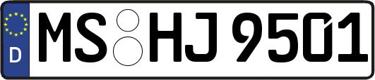 MS-HJ9501