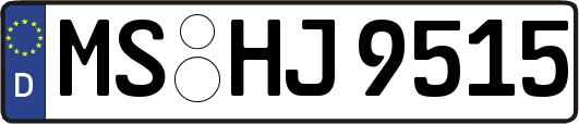 MS-HJ9515