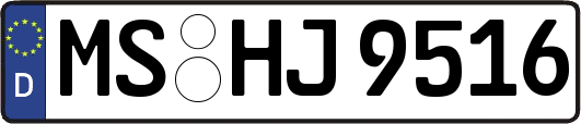 MS-HJ9516