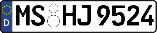 MS-HJ9524