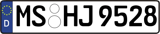 MS-HJ9528