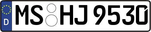 MS-HJ9530