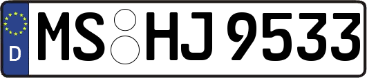 MS-HJ9533