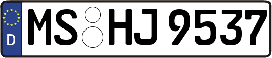 MS-HJ9537