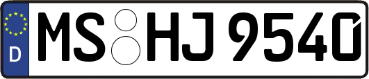 MS-HJ9540