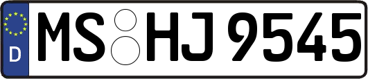 MS-HJ9545
