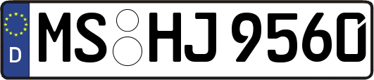 MS-HJ9560