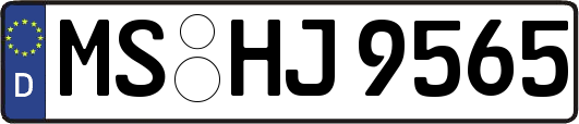 MS-HJ9565