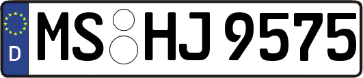 MS-HJ9575