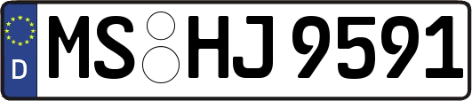 MS-HJ9591
