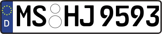 MS-HJ9593