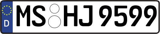 MS-HJ9599