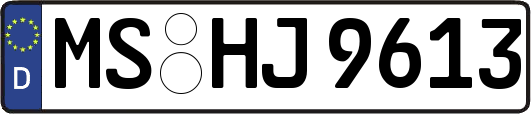 MS-HJ9613