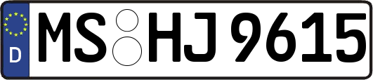 MS-HJ9615
