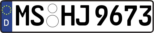 MS-HJ9673