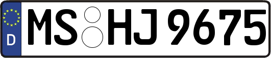 MS-HJ9675