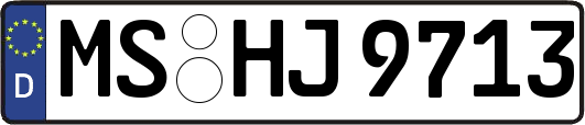 MS-HJ9713