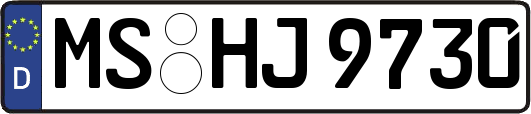 MS-HJ9730