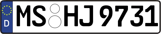 MS-HJ9731