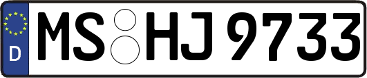 MS-HJ9733