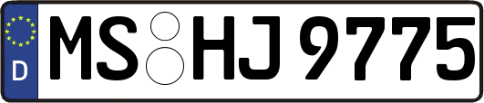 MS-HJ9775