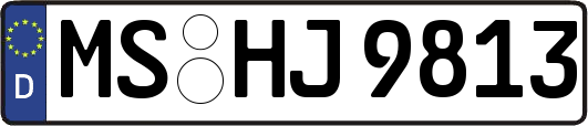 MS-HJ9813