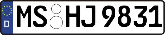 MS-HJ9831