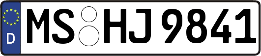 MS-HJ9841