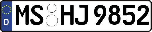 MS-HJ9852