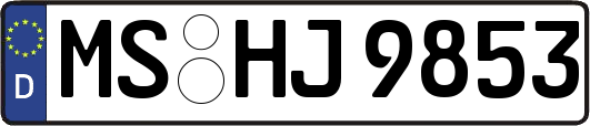 MS-HJ9853