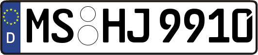 MS-HJ9910
