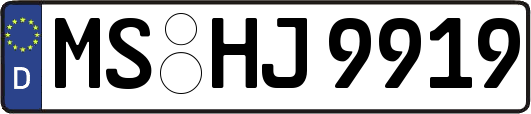 MS-HJ9919