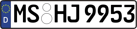 MS-HJ9953