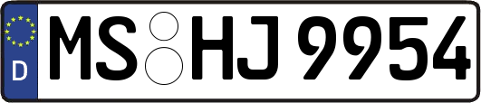 MS-HJ9954