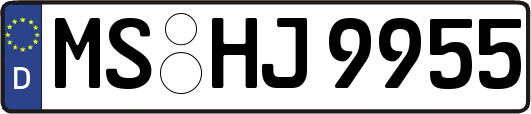 MS-HJ9955