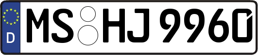 MS-HJ9960