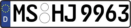 MS-HJ9963