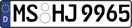 MS-HJ9965