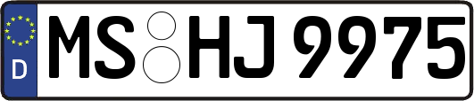 MS-HJ9975