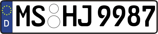 MS-HJ9987