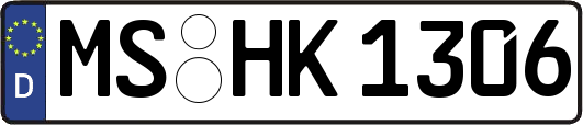 MS-HK1306