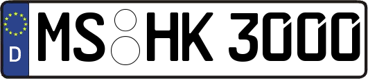 MS-HK3000