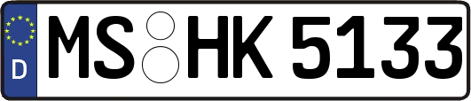 MS-HK5133