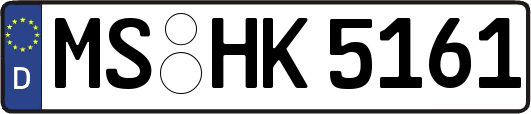 MS-HK5161