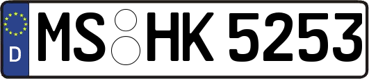 MS-HK5253