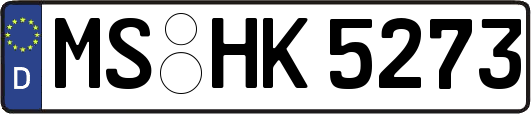MS-HK5273